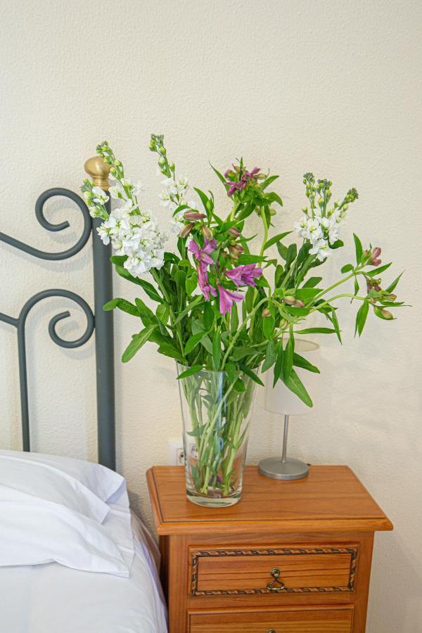 Ispal Apartment & Parking Seville Historic Center Vutse06601 Εξωτερικό φωτογραφία